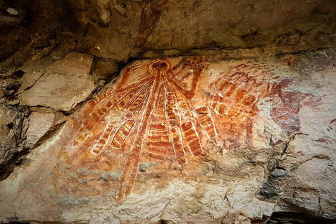 Arnhem Land Injalak Hill Full-Day Tour From Darwin - Palm Beach Accommodation 1