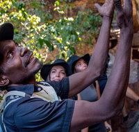 Arnhem Land Injalak Hill Full-Day Tour from Darwin - Palm Beach Accommodation