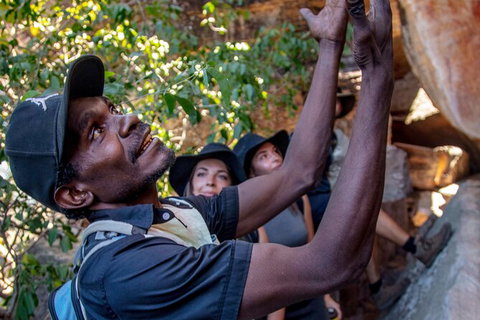 Arnhem Land Injalak Hill Full-Day Tour From Darwin - Palm Beach Accommodation 0