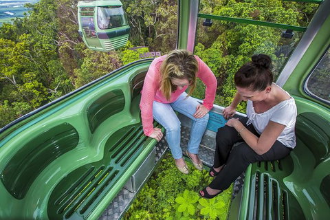 8-Day Cairns Tour: Great Barrier Reef, Kuranda, Daintree Rainforest - Palm Beach Accommodation 1