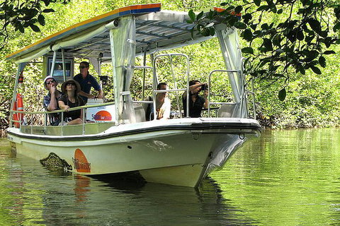 8-Day Cairns Tour: Great Barrier Reef, Kuranda, Daintree Rainforest - Palm Beach Accommodation 3