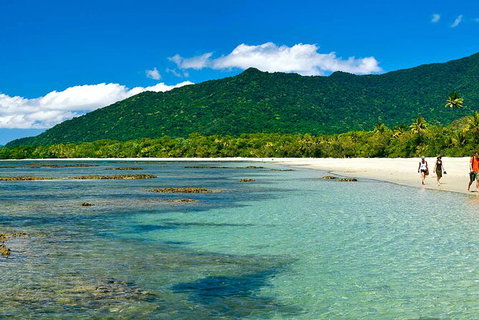 8-Day Cairns Tour: Great Barrier Reef, Kuranda, Daintree Rainforest - Palm Beach Accommodation 4