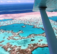 8-Day Cairns Tour Great Barrier Reef Kuranda Daintree Rainforest - Palm Beach Accommodation