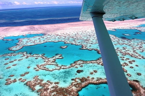 8-Day Cairns Tour: Great Barrier Reef, Kuranda, Daintree Rainforest - Palm Beach Accommodation 0