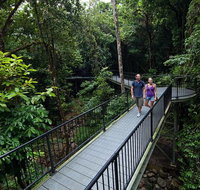4-Day Cairns with Great Barrier Reef and Daintree Rainforest - Palm Beach Accommodation