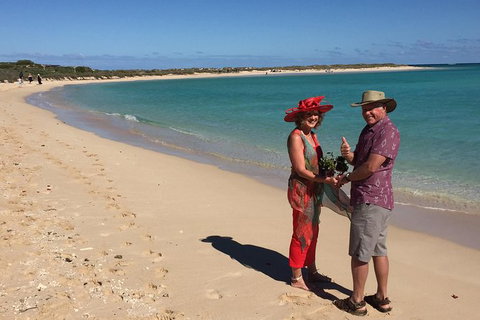 Elope In Paradise - Weddings At Mission Beach - Palm Beach Accommodation 6