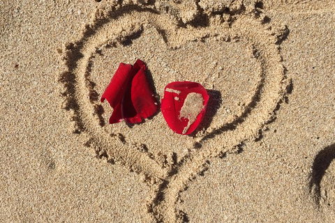 Elope In Paradise - Weddings At Mission Beach - Palm Beach Accommodation 3
