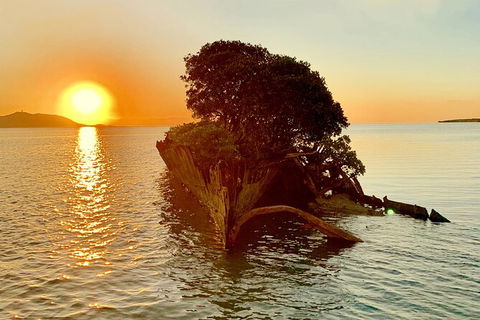Aquascene Magnetic Island Sunset & Shipwreck Tour - Palm Beach Accommodation 3