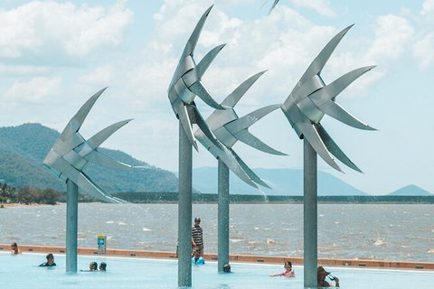Cairns Airport Private Chater Transfer - Palm Beach Accommodation 4