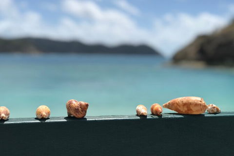 7-Day Private Sea Kayaking In Whitsundays - Palm Beach Accommodation 1