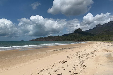 Hinchinbrook Island Tour - Palm Beach Accommodation 3