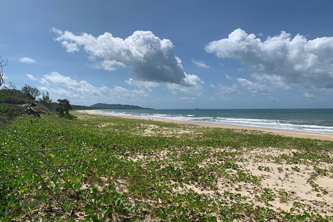 Hinchinbrook Island Tour - Palm Beach Accommodation 5