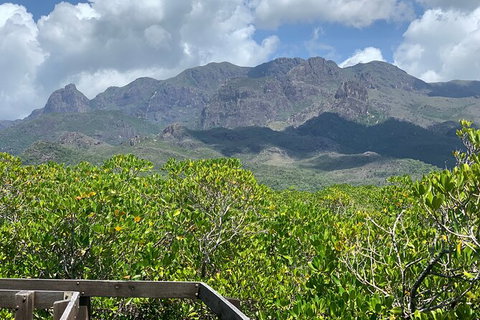 Hinchinbrook Island Tour - Palm Beach Accommodation 0