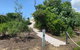 Hinchinbrook Island Tour - thumb 1