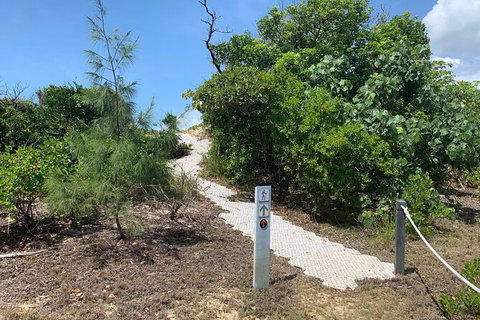Hinchinbrook Island Tour - Palm Beach Accommodation 1