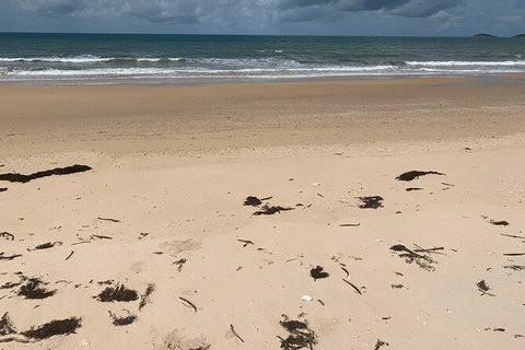 Hinchinbrook Island Tour - Palm Beach Accommodation 6