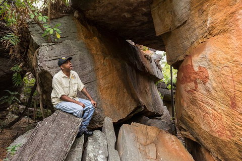 Half Day Aboriginal Rock Art Experience In Queensland - Palm Beach Accommodation 7