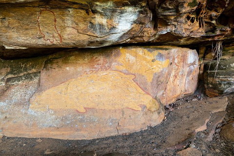 Half Day Aboriginal Rock Art Experience In Queensland - Palm Beach Accommodation 3