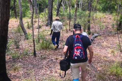 Half Day Aboriginal Rock Art Experience In Queensland - Palm Beach Accommodation 5