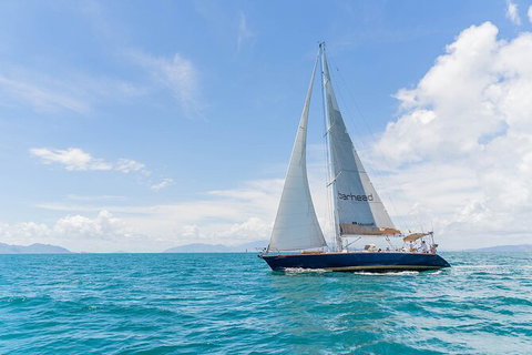 Helicopter And Magnetic Island Sailing - Palm Beach Accommodation 3