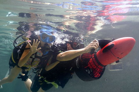 Scuba Kids- Padi Bubblemaker Course - Palm Beach Accommodation 2