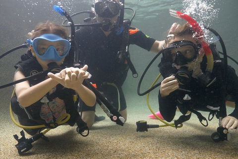 Scuba Kids- Padi Bubblemaker Course - Palm Beach Accommodation 4