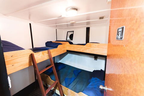 2 Night Whitsunday Islands Cruise On Atlantic Clipper From Airlie Beach - Palm Beach Accommodation 1