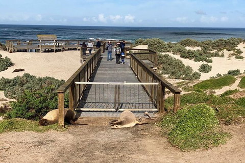 Kangaroo Island 4wd - Best Of KI - Palm Beach Accommodation 6