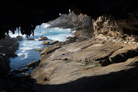 Kangaroo Island Luxury Small Group \'Flinders Chase Focus\' Full Day Tour - Palm Beach Accommodation 6