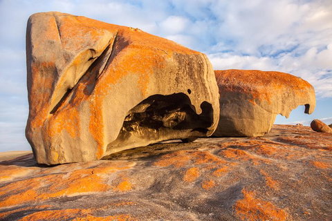 Kangaroo Island Luxury Small Group \'Flinders Chase Focus\' Full Day Tour - Palm Beach Accommodation 1