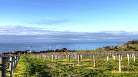 Kangaroo Island Gourmet Food And Wine Trail Tour - Palm Beach Accommodation 3