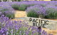 Kangaroo Island Food And Wine Trail Tour - thumb 2