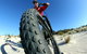 Kangaroo Island 2 Hour Bike Tour - thumb 4