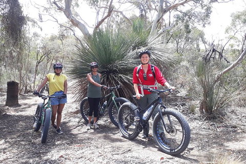 Kangaroo Island 2 Hour Bike Tour - Palm Beach Accommodation 5