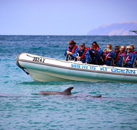 Kangaroo Island 75-Minute Ocean Safari - Palm Beach Accommodation