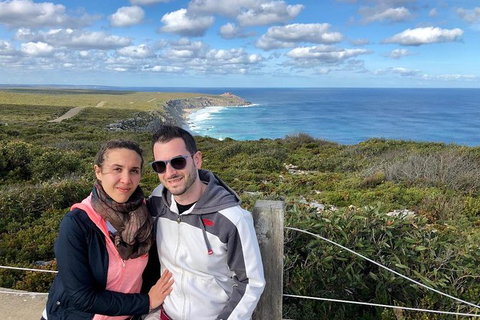 NEW TOUR - Flinders Chase Tour (Recovering From Fires) - Palm Beach Accommodation 3