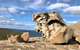 NEW TOUR - Flinders Chase Tour (Recovering From Fires) - thumb 2