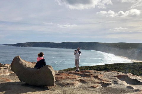 NEW TOUR - Flinders Chase Tour (Recovering From Fires) - Palm Beach Accommodation 5