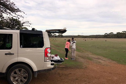 NEW TOUR - Flinders Chase Tour (Recovering From Fires) - Palm Beach Accommodation 6