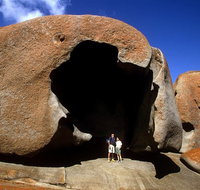 Full-Day Kangaroo Island Safari from Penneshaw - Palm Beach Accommodation