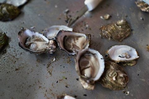 Fine Flavours - Full Day Kangaroo Island Food & Wine Tour - Palm Beach Accommodation 10