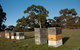 Fine Flavours - Full Day Kangaroo Island Food & Wine Tour - thumb 5