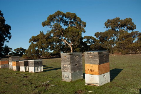Fine Flavours - Full Day Kangaroo Island Food & Wine Tour - Palm Beach Accommodation 5