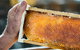 Fine Flavours - Full Day Kangaroo Island Food & Wine Tour - thumb 0