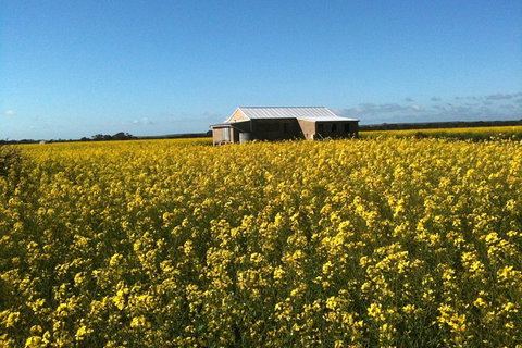 Fine Flavours - Full Day Kangaroo Island Food & Wine Tour - Palm Beach Accommodation 11