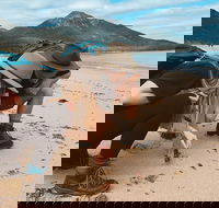 Freycinet Walking Tour - Palm Beach Accommodation