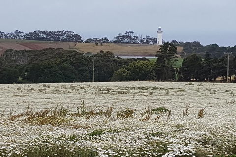 Cruise Ship Excursion: Stanley - Palm Beach Accommodation 7