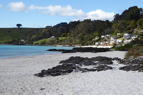 Cruise Ship Excursion: Stanley - Palm Beach Accommodation 10