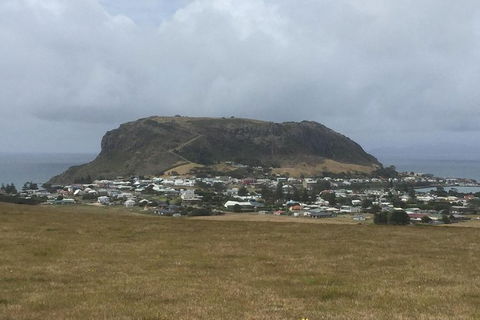 Cruise Ship Excursion: Stanley - Palm Beach Accommodation 2