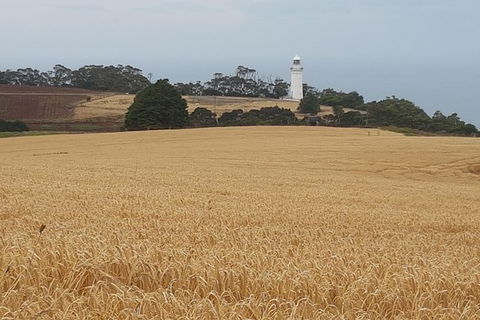 Cruise Ship Excursion: Stanley - Palm Beach Accommodation 16